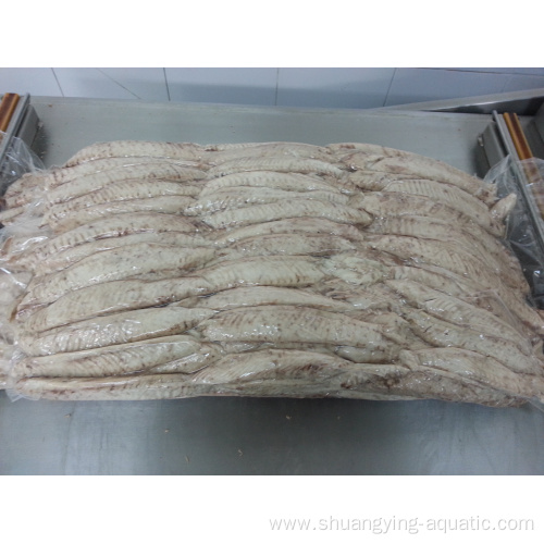 Frozen Bonito Tuna Albacore Loin In Vacuum Pack